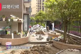 一楼业主占用绿化带，小区业主有质疑，绿化带是共有还是私产？视频封面