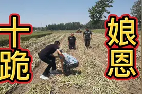 孝顺父母要趁早，不要等到子欲孝而亲不待的那天就晚了！视频封面