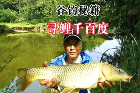 谷麦钓法：探钓荒野小河，简单选位三部曲，这就是渔获的保证视频封面