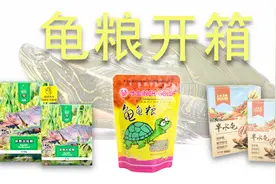 国货开箱！寸金、育龟、命脉国产三大龟粮！测评进行时！