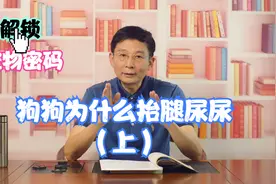 狗狗为什么抬腿尿尿（上）解锁宠物密码视频封面