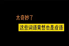 万万没想到这些词语竟然是成语视频封面