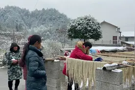 手工做的红薯粉条为什么要冰冻，如何晾晒？看完这个视频你就懂了视频封面