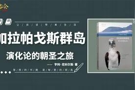 加拉帕戈斯群岛：随达尔文脚步去进化论诞生地，重新理解地球生命视频封面