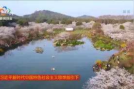 武汉旅游竞争力居全国第一方阵视频封面