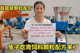 兔子吃青饲料颗粒配方：苜蓿草40%+玉米30%+豆饼+麦麸等，兔爱吃视频封面