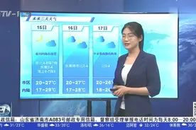 天气预报：青岛市区最高气温29.7℃，17号中北部局部有阵雨