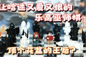 哈迷又爱又恨的乐高巫师棋，片尾有片段重现的幽默动画解说.mp4视频封面