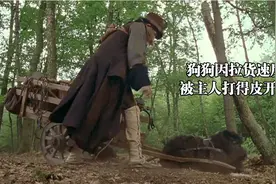 狗狗因拉货的速度太慢，被主人打得皮开肉绽，丢弃在路边！催泪片视频封面