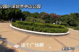 美丽的公园8 深圳市中山公园 1925年建园 49万平方米视频封面