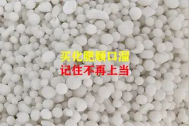 买化肥顺口溜，记住这个顺口溜，再也不会上当受骗视频封面