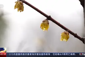 中央气象台 冷空气影响进入尾声 南方阴雨趋于结束视频封面