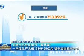 河南交出经济运行“春季卷”视频封面
