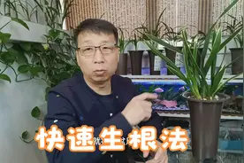 一招教你的兰花长出水晶头视频封面
