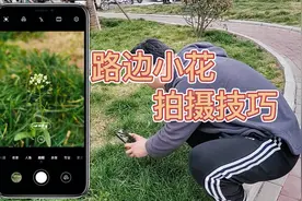 路边野花如何拍出不一样的效果？教程来了，分分钟学会视频封面