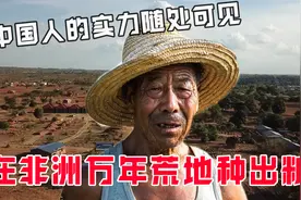 中国人的实力随处可见！在非洲万年荒地种出粮食，外媒直接惊呆！视频封面