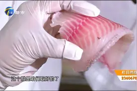 龙利鱼“造假”，发红的龙利鱼还能吃吗？原来都被“骗”了！视频封面