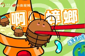 来自侏罗纪时代，无头也能活……蟑螂的命到底有多硬？视频封面
