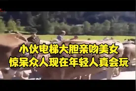小伙电梯大胆亲吻美女，惊呆众人现在年轻人真会玩！神级撩妹盘点视频封面