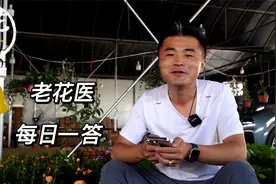 栀子花一直不生长怎么回事？杜鹃枯萎了是嗝屁了吗？视频封面