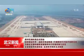 鄂州花湖机场正式投运 王蒙徽宣布机场投运 王忠林致辞视频封面