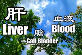肝脏，胆囊和血液的频率，佛音钵敲击共振冥想，调整器官工作频率视频封面