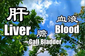 肝脏，胆囊和血液的频率，佛音钵敲击共振冥想，调整器官工作频率视频封面