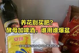 养花别买肥？酵母加啤酒，谁用谁爆盆视频封面