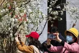 北京：全市范围内暂停旅行社经营市民在京团队旅游业务视频封面