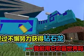 MC我的世界：我收获了一只钻石龙，能用它称霸世界吗？视频封面