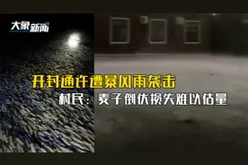 揪心！开封通许遭暴风雨袭击，村民：麦子倒伏损失难以估量视频封面