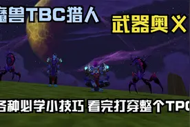 怀旧服TBC猎人武器奥义及必学小技巧视频封面
