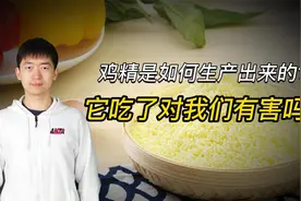 鸡精是如何生产出来的，它对我们身体有害吗？视频封面