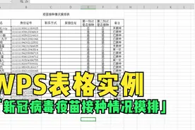 WPS表格实例-手把手教你「新冠病毒疫苗接种情况摸排」视频封面