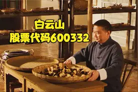 【白云山600332】10分钟带你了解上市公司【第11期】视频封面