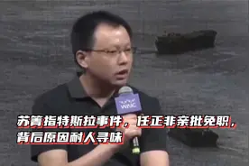 苏箐指特斯拉事件，任正非亲批免职，背后原因耐人寻味视频封面