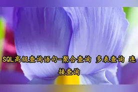 SQL高级查询语句-聚合查询多表查询连接查询【转载】视频封面