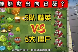 植物大战僵尸：5队精英营救向日葵公主，谁能救出公主呢？视频封面