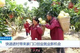 [央视财经评论]农村物流体系“小农户”连接“大市场”视频封面