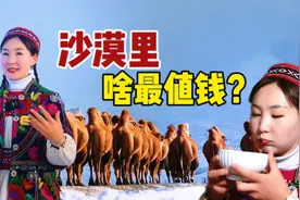 纯驼奶有多珍贵？是炒作吗？新疆姑娘深入工厂,沙漠驼奶味道咋样视频封面
