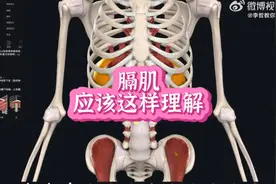 膈肌应该这样理解视频封面