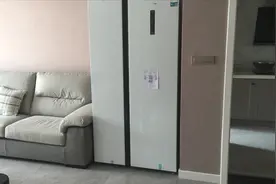 小伙买的西门子对开门冰箱，放客厅位置刚刚好，颜值高超大气视频封面
