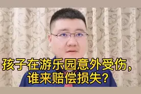 孩子在游乐园意外受伤，谁来赔偿损失？视频封面