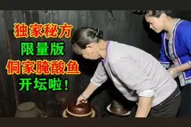 独家秘方腌制8个月的腌酸鱼开坛了，燕子拿一片来尝尝鲜，超下饭