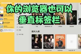 浏览器横向标签栏变垂直纵向，浏览网页新体验尝试视频封面