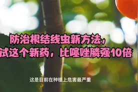 防治根结线虫新方法，试试这个新药，比噻唑膦强10倍视频封面