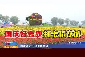 山西太原：国庆好去处 打卡稻花城视频封面
