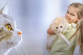 猫咪讨厌的社交方式 - 突然抱起猫或突然抱住猫视频封面