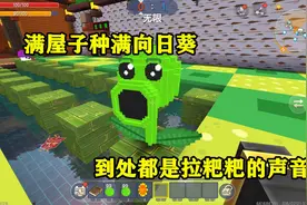迷你世界：植物VS僵尸  满屋子种满向日葵 到处都是拉粑粑的声音