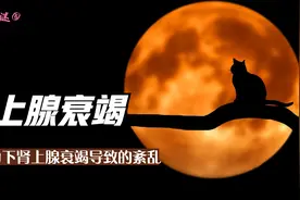 肾上腺衰竭！持续压力肾上腺机能减退导致的内分泌紊乱
